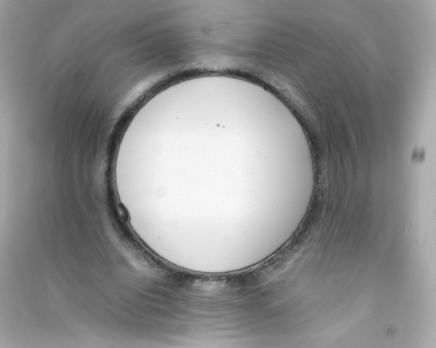 X0000090410440200708101923