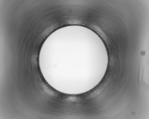 X0000090410441200708101923