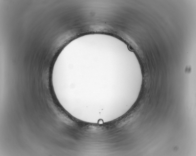 X0000090410442200708101923