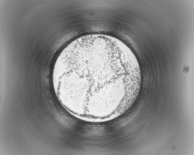 X0000090410443200708101923
