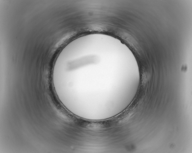 X0000090410444200708101923