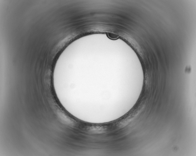 X0000090410445200708101923
