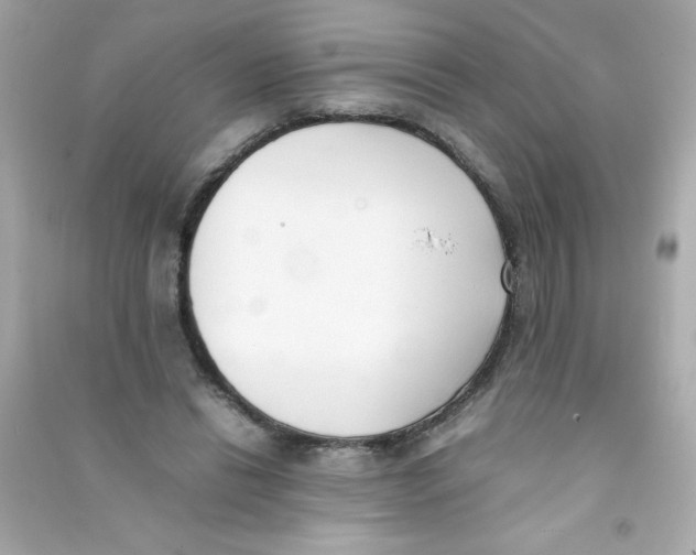 X0000090410446200708101923