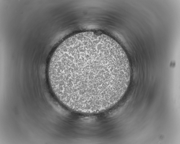 X0000090410447200708101923