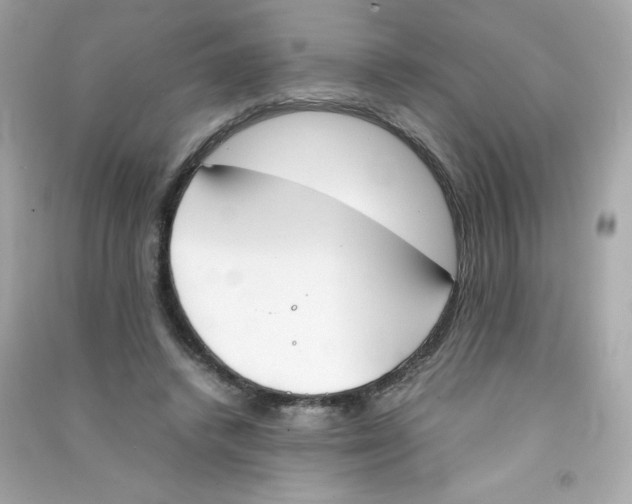 X0000090410448200708101923