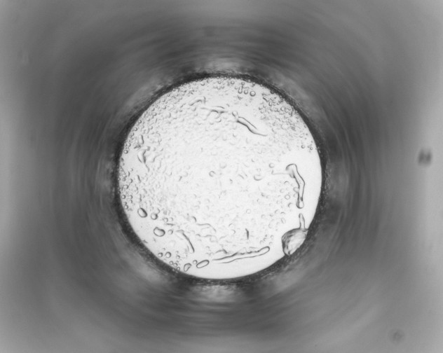 X0000090410449200708101923