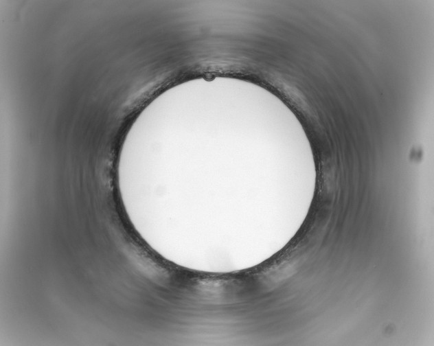 X0000090410450200708101923