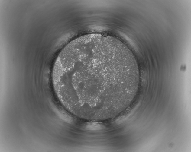 X0000090410451200708101923