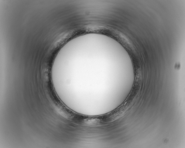 X0000090410452200708101923