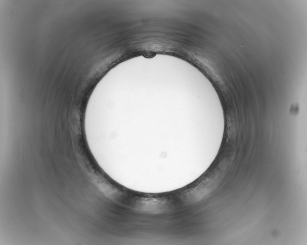 X0000090410453200708101923
