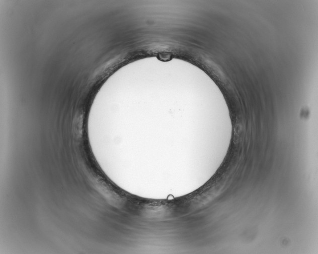 X0000090410454200708101923