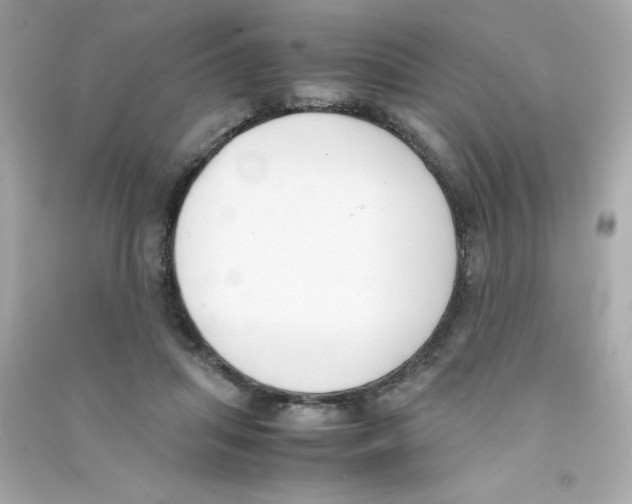 X0000090410455200708101923