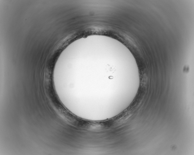 X0000090410456200708101923