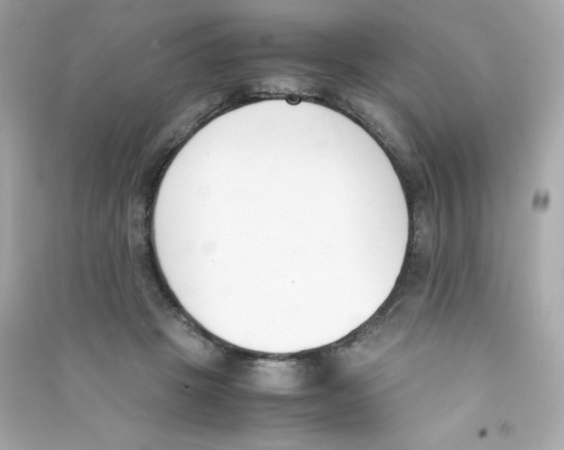 X0000090410457200708101923