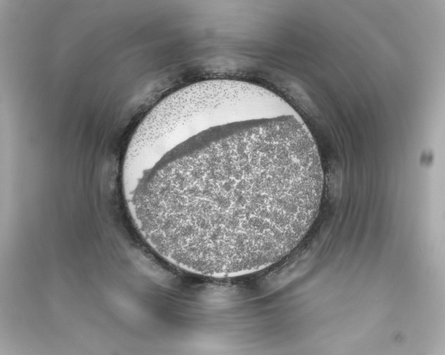 X0000090410458200708101923