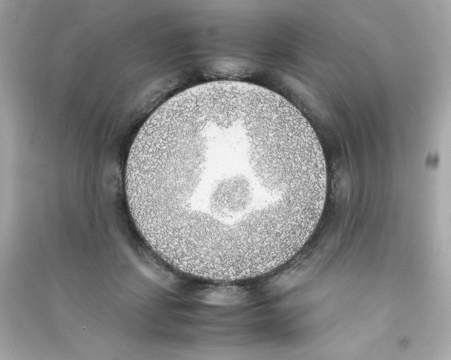 X0000090410459200708101923