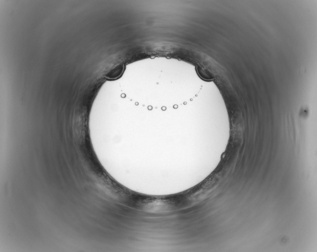 X0000090410460200708101923