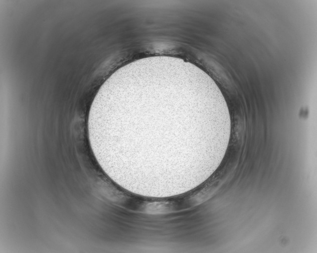 X0000090410461200708101923