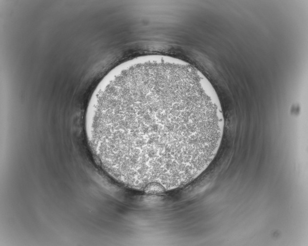 X0000090410462200708101923
