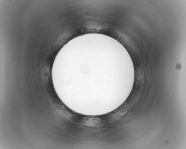 X0000090410463200708101923