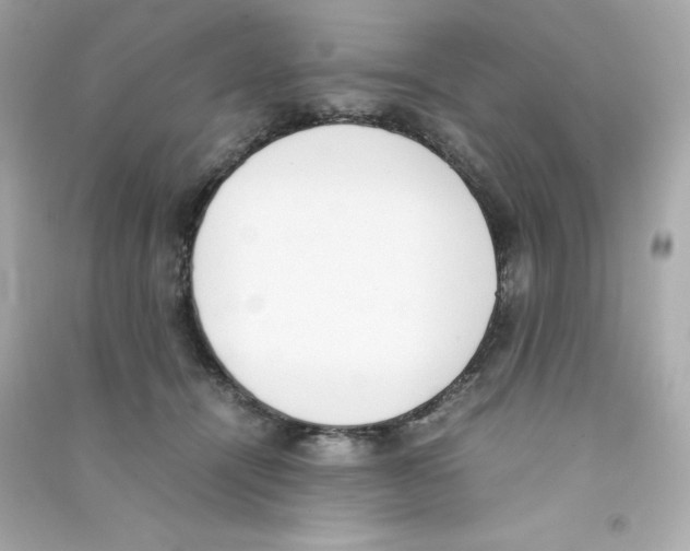 X0000090410464200708101923