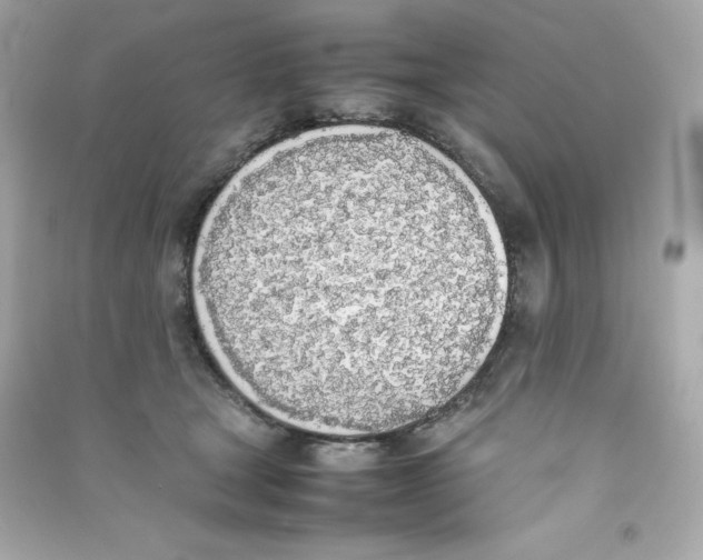 X0000090410465200708101923