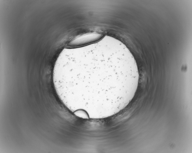 X0000090410466200708101923