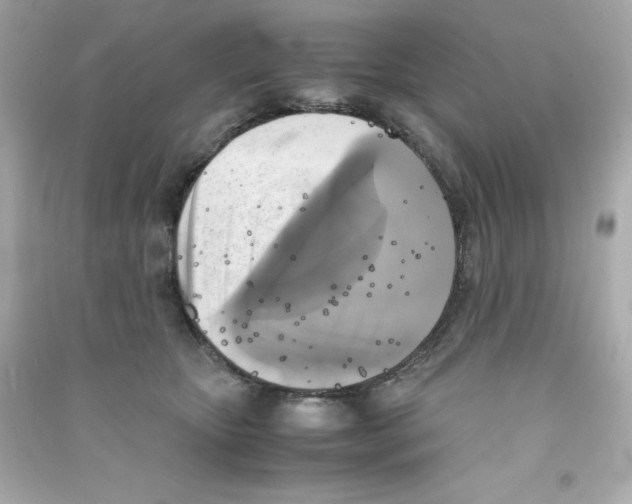 X0000090410467200708101924