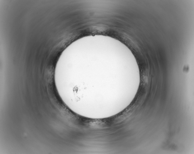 X0000090410468200708101924