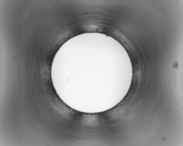 X0000090410469200708101924