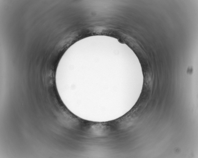 X0000090410470200708101924