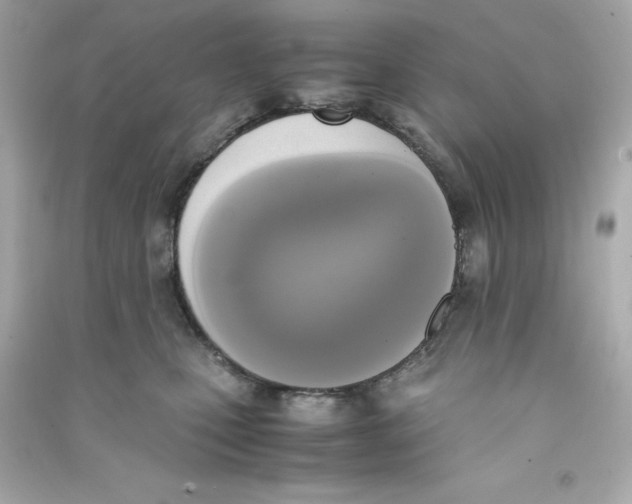 X0000090410471200708101924