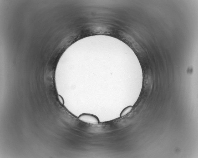X0000090410473200708101924