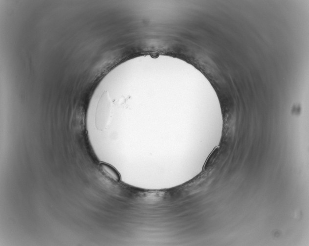 X0000090410474200708101924