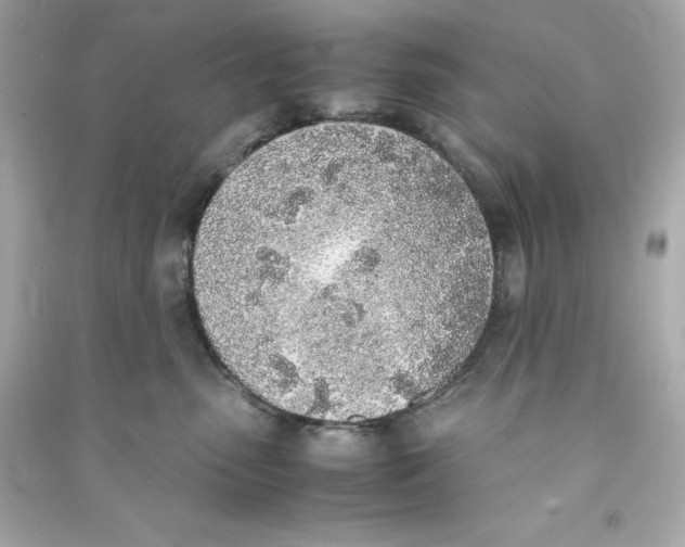 X0000090410475200708101924