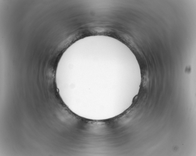 X0000090410476200708101924