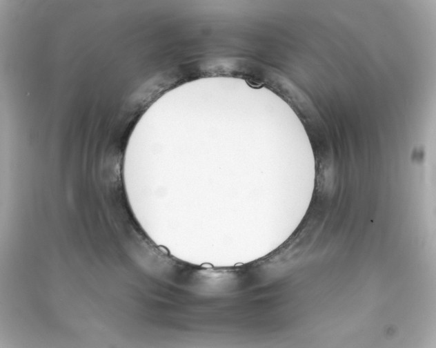 X0000090410477200708101924