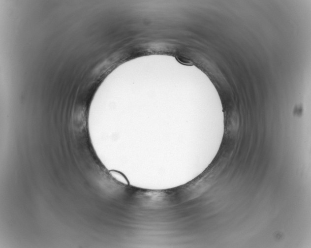 X0000090410478200708101924