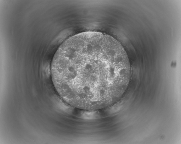 X0000090410479200708101924