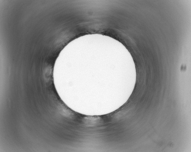X0000090410480200708101924