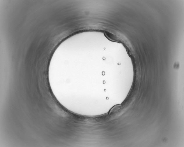 X0000090410481200708101923