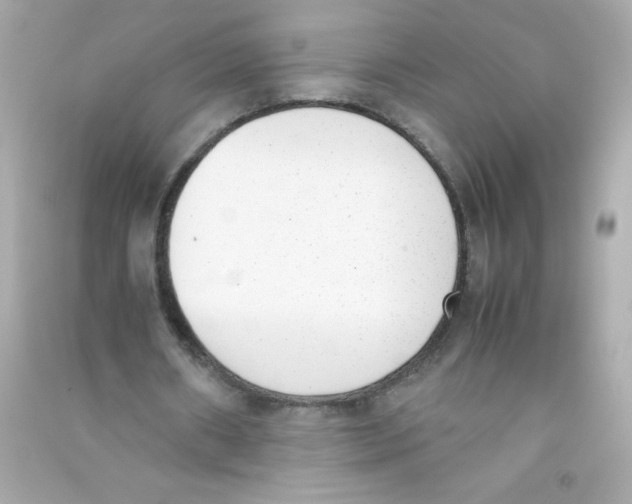X0000090410482200708101923