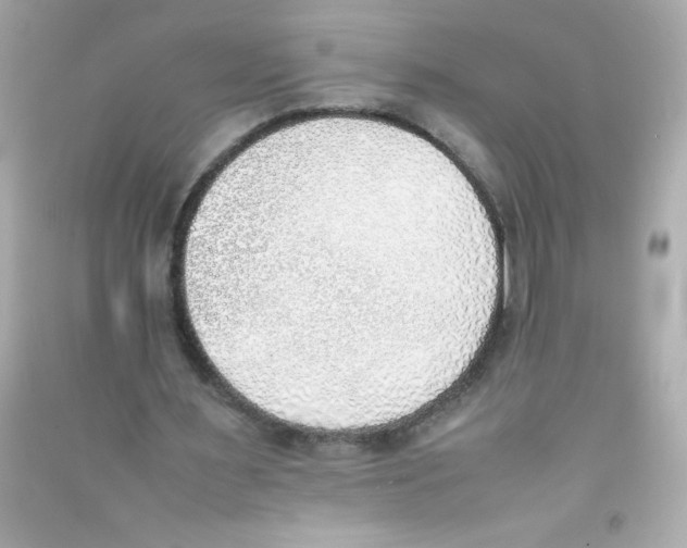 X0000090410483200708101923