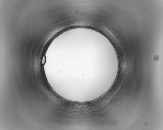 X0000090410484200708101923