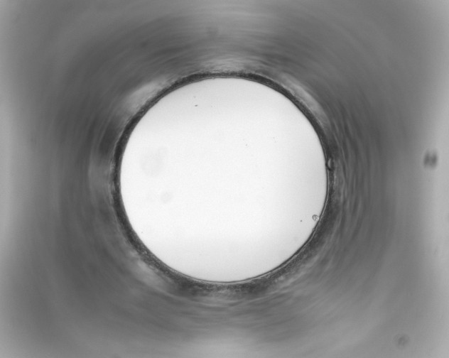 X0000090410485200708101923