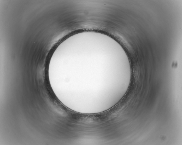 X0000090410488200708101923