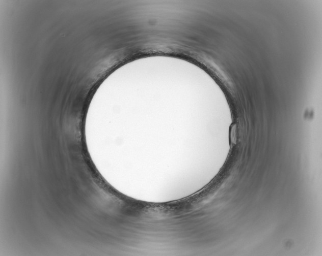 X0000090410489200708101923