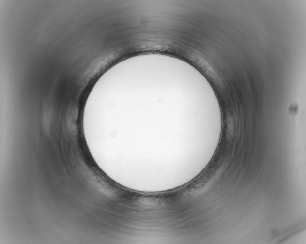X0000090410490200708101923