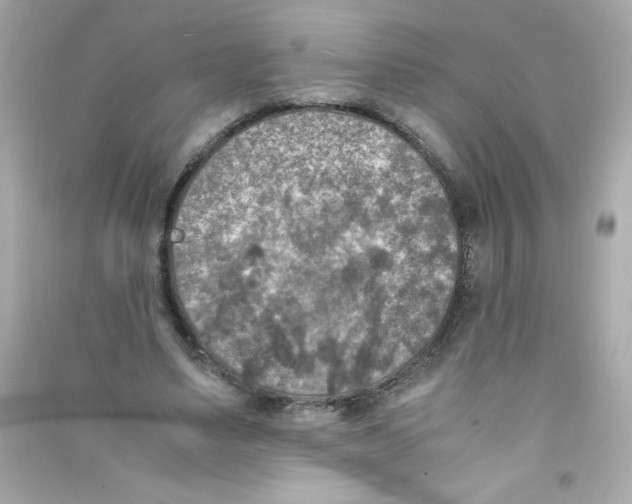 X0000090410491200708101923