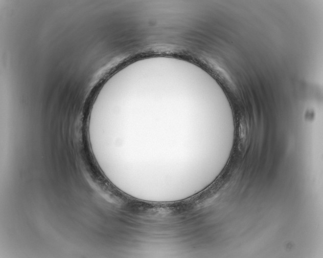 X0000090410492200708101923